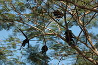  2007-12-10 10.43.24.JPG 